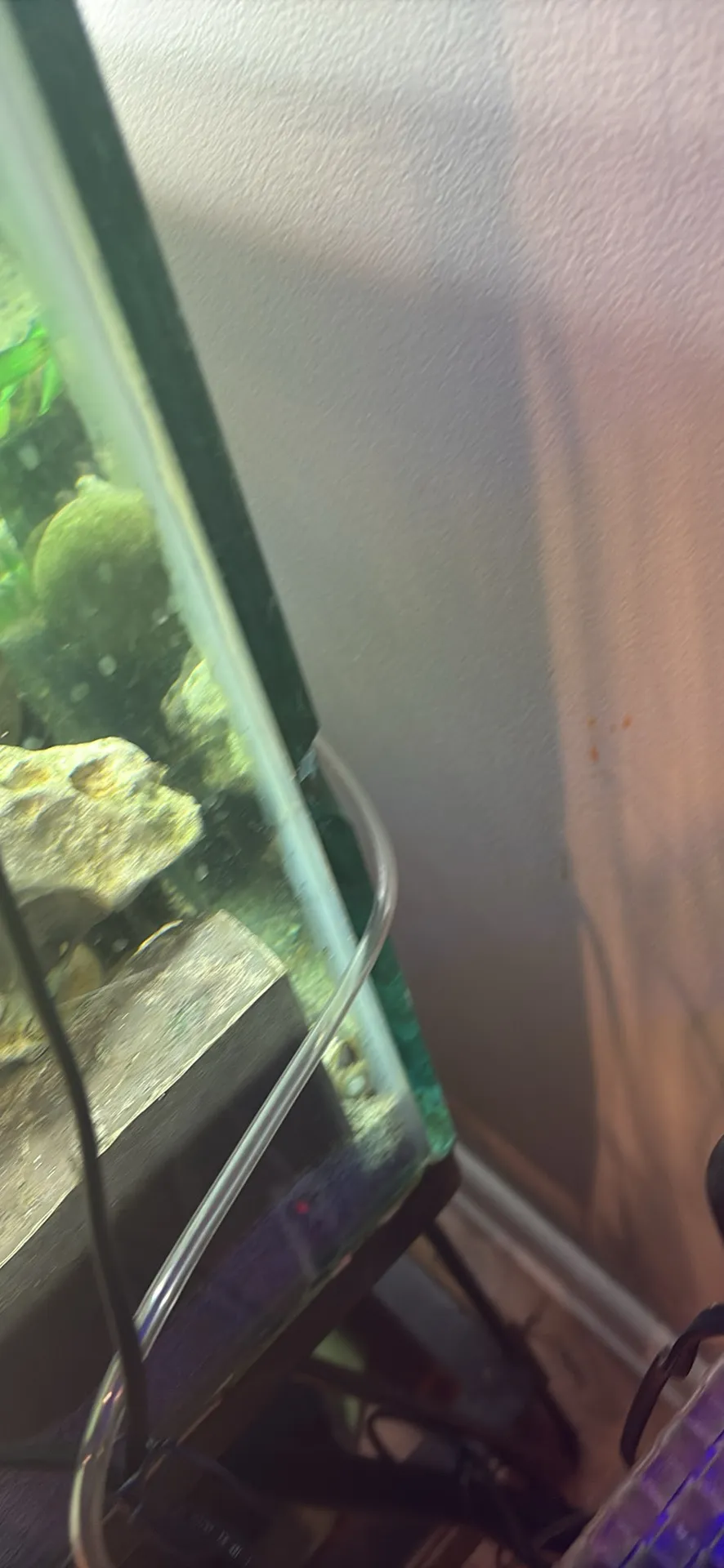 Aquarium à vendre 